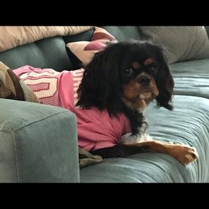 Meet your Posher, Pam